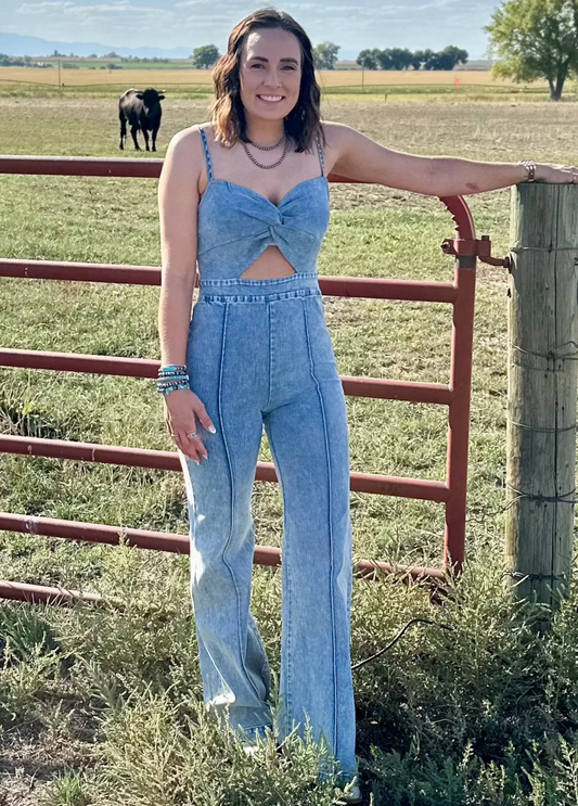 Raelyn Retro Stretch Denim Jumpsuit